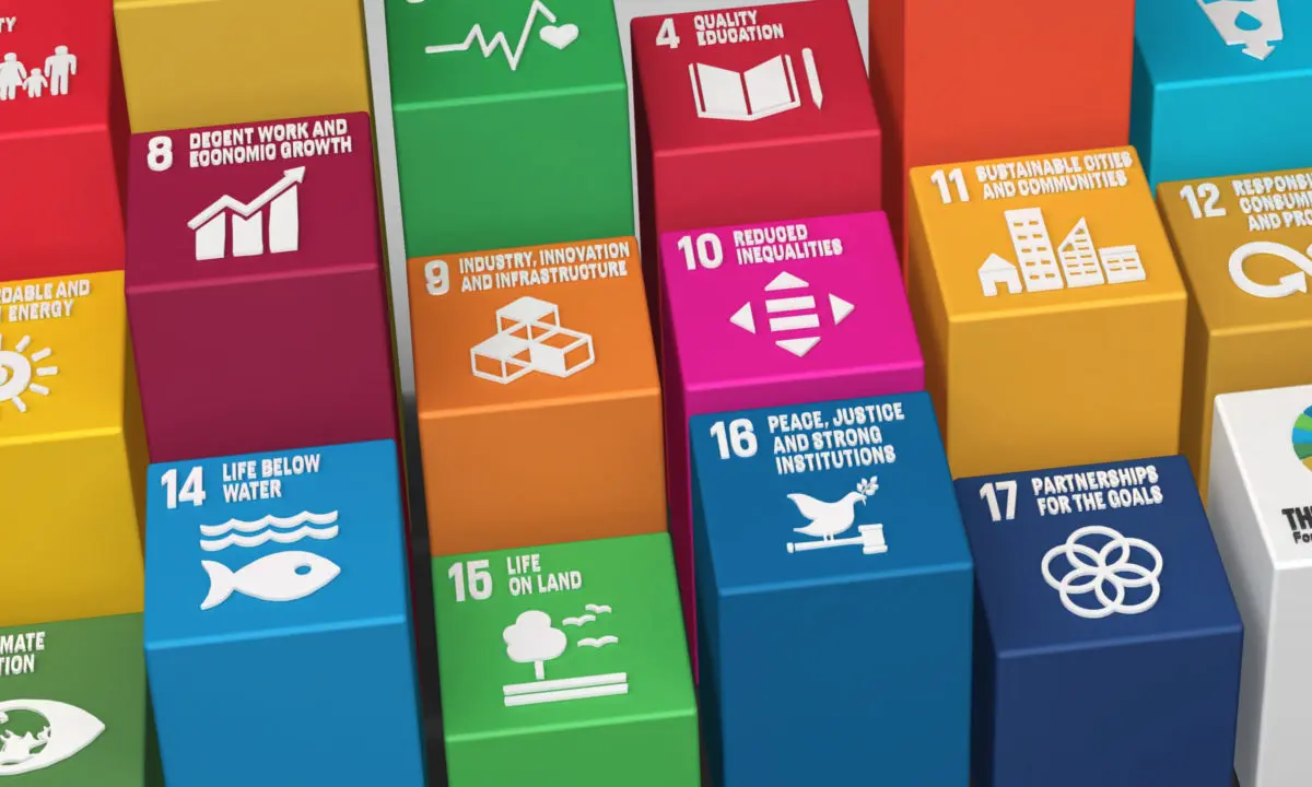 Illustation with boxes upon which there is the Sustainable Development Goals logos
